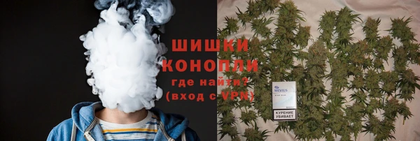 2c-b Заводоуковск